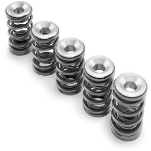 Hot Cams Valve Spring Kit for 2001-2005 Yamaha YFM660R Raptor ATV - Picture 1 of 2