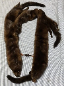 Vintage Mink Fur Stole - 3 Pelts Neck Wrap (421) - Picture 1 of 3