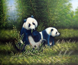 Panda Bear Having Fun And Eating Bamboo Shoots 20X24 Oil Painting STRETCHED - Picture 1 of 3