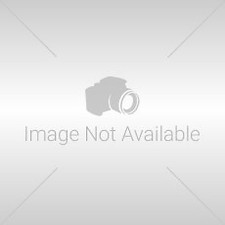 Gas Connector 1-1/4 In. Od X 24 In. Fip X 3/4 In. Mip