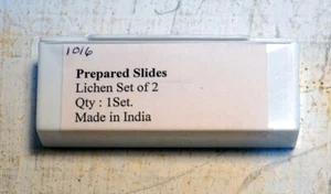 Prepared Microscope Slide Set, Lichen, 2 Slides, New! - Picture 1 of 1