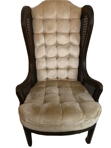 Lewittes cane back velvet chair - Vintage Mid Century Cover