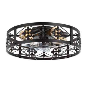Breezary 20" Black Enclosed Ceiling Fan with Light Kit & Remote Control 4-Light - Picture 1 of 10