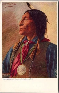 Postal de indios nativos americanos de 1903 "CHIEF WOLF ROBE - CHEYENNE" F.A. Rinehart - Imagen 1 de 2