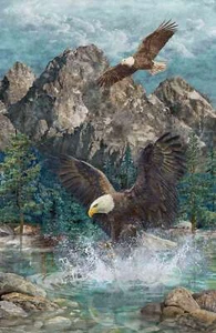 Northcott - Stonehenge Eagle Pass - 28" X 43" Scenic Eagle Panel Blue/Multi, BTY - Picture 1 of 8