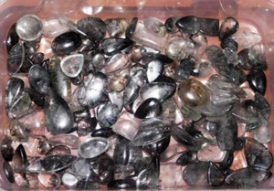 Natural Black Rutile Quartz Mutli Shape Cabochon Gemstone Wholesale Lot 1000Cts - Picture 1 of 1