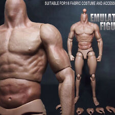 1/6 Scale Muscular Figure Body Fit 12" Hot Toys Male Head Sculpt Model ZC Toys a