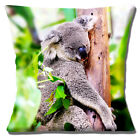 Cute Sleepy Koala Bear Cushion Cover 16 Inch 40cm Australian Animal Photo Tree