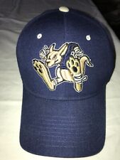 Rare ZEPHYR UMKC University Missouri Kansas City ROOS Kangaroos Z-Hat CAP Fit 7¼