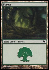 Forest (299) - Foil ~ Near Mint Shadowmoor MTG Magic UltimateMTG Land Card