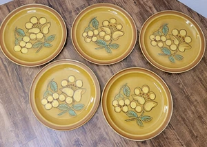 Fashion Manor Japan Stonewear Flora 10,5 Zoll Speiseteller Set / 5 Vintage 70er MCM - Bild 1 von 18