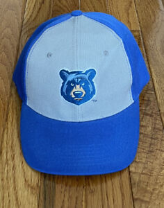 Tennessee Smokies (Chicago Cubs) Minor League Baseball Adjustable Blue/Gray Hat