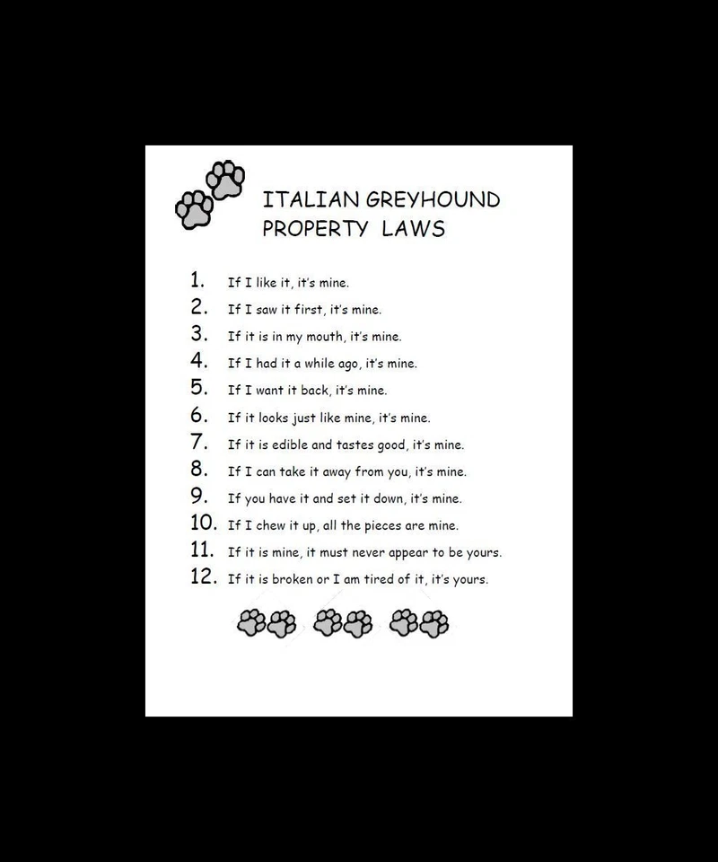 Итальянская борзая - НА ЗАКАЗ МАТОВАЯ - художественная гравюра с собаками - P/L - Изображение 1 из 1