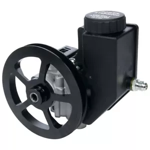 Allstar Performance 48245 GM Type-II Power Steering Pump w/ Pulley & Reservoir - Picture 1 of 3