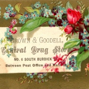 Tarjeta comercial c1870s Kalamazoo MI Brown Goodell Central Drug Store South Burdick C8 - Imagen 1 de 3