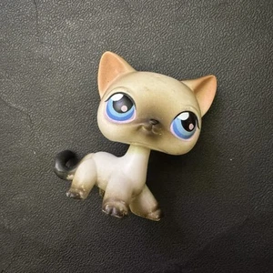 Littlest Pet Shop LPS #5 Shorthair Siamese Cat Blue Eyes Authentic - Picture 1 of 5