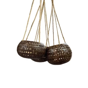 coconut shell hanging pot set3 orchid planter flower basket retro balcony decor - Picture 1 of 18