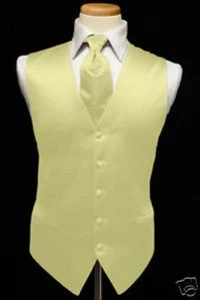 Luxury Premiere Solid Tuxedo Vest & Necktie - Picture 1 of 9