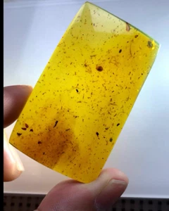Burmese fossil burmite Cretaceous amber rare snail insect fossil amber Myanmar - Picture 1 of 5