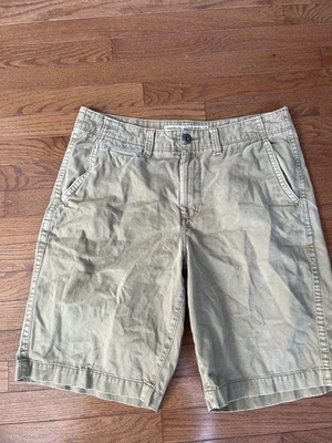 American Eagle Outfitters Longboard Thick Long  Shorts Men's Size 34 - Image 1 of 4