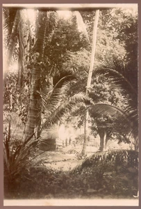 Indochine COCHINCHINE, Environs de Nuy Sam, Vintage citrate print 1902 - 18x12 - Bild 1 von 1