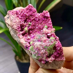 260GNatural Cobalto Calcite Granulosità Cristallo Minerale Esemplare Guarigione-Congo - Foto 1 di 23