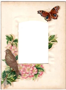 Colorful Photo Album Page 208x282mm for Cabinet Card Bird Butterfly circa 1880 - Picture 1 of 2