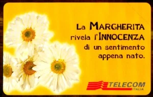 G 1087 C&C 3166 NEUE MAGNETKARTE BLUMENBOTSCHAFTEN GÄNSEBLÜMCHEN - Bild 1 von 2