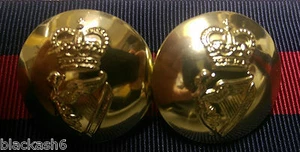 Irish Guards 24mm Anodised Buttons x 2 - Foto 1 di 1