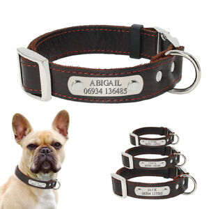 Personalized Leather Dog Collar with Free Laser Engraved ID Tag Name Plate XS-M