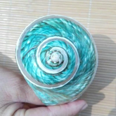 Natural Green Turban Shell Conch  Coral Sea Snail Home Ornament Fish Tank Decor - Image 1 of 4