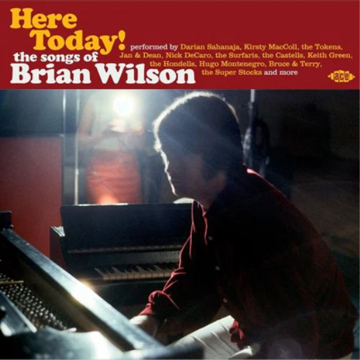 Various Artists Here Today!: The Songs of Brian Wilson (CD) Album - Bild 1 von 1