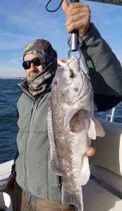 Perfect Peer Buster 15 1/0 Boxerhandschuh Jigbox Sheepshead Tog Porgy Flunder - Bild 1 von 8