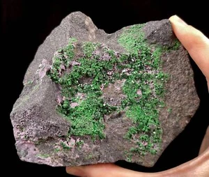 UVAROVITE Racimo de Cristal Crudo Druzy - Calcio Cromo Verde Granate Piedra, 51667 - Imagen 1 de 8