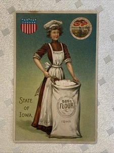 Victorian LADY Apron Bag of Flour STATE of IOWA Vintage 1910 Embossed Postcard! - Picture 1 of 6