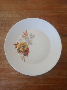 J & G Meakin. Harvest. Dinner Plate. (26cm). Made In England. - Bild 1 von 5