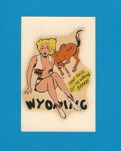 VINTAGE ORIGINAL 1950 SOUVENIR "MISS WYOMING" COWGIRL PINUP TRAVEL DECAL ART - Picture 1 of 1