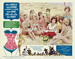 How to Stuff a Wild Bikini Lobby Card Stampa #3 Annette Funicello Dwayne Hickman - Foto 1 di 1
