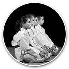 2 x Vinyl Stickers 20cm (bw) - Children's Karate Class Kids Fun  #42682