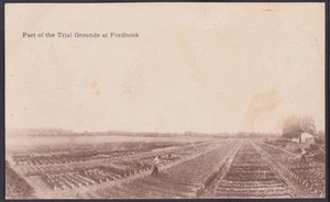 Vegetable Trial Fields at Fordhook Farms Doylestown PA postcard c 1905 - Picture 1 of 1