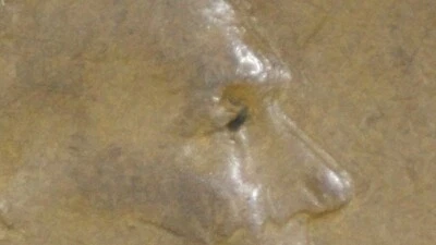 1935 Lincoln Wheat Cent “DDO/DDR” Penny Variety Coin Error  - Image 1 of 4