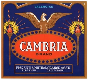ORIGINAL ORANGE COUNTY CALIFORNIA KISTENETIKETT CAMBRIA EAGLE PLACENTIA 1940er  - Bild 1 von 1