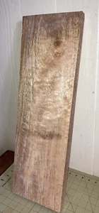 One Large Hawaiian Curly Mango Board~ 23" x 7 1/2" x 1" (#502) - Picture 1 of 8