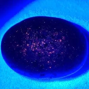 YOOPERLITE PIETRA FLUORESCENTE SODALITE ROCCIA DA LAGO BAGLIORE SUPERIORE SOTTO UV - Foto 1 di 4
