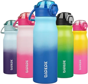 Insulated Water Bottle 25Oz Stainless Steel Water Bottles with Straw and Carry H - Picture 1 of 6