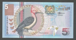 Suriname 5 fiorini 1.1.2000; UNC; P-146; BNB-B531a; picchio; costruzione bancaria - Foto 1 di 2