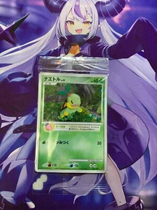 NM Pokemon PROMO Turtwig 001/PPP Chimchar 002 Piplup 003/PPP Fan Club Seald #422 - Picture 1 of 8
