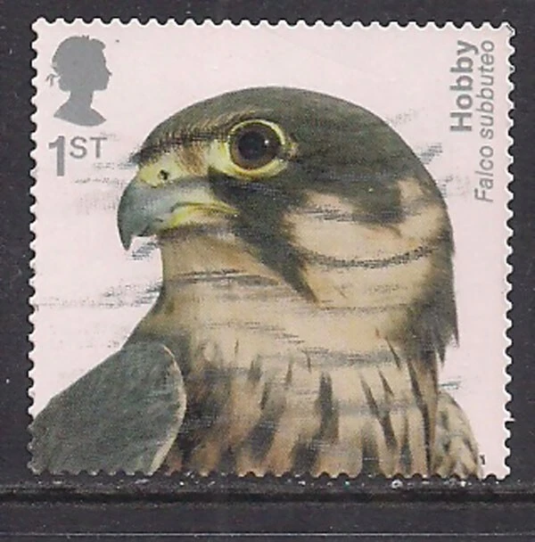 GB 2019 QE2 1st Birds of Prey Hobby S/ A SG 4211 CV £15 ( L892 ) - Image 1 of 1