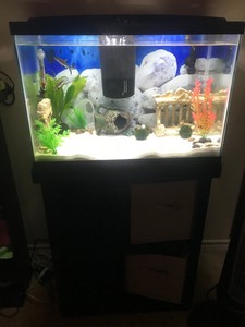 freshwater aquarium for sale