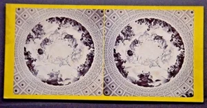 Stereoview Montaje Amarillo - Washington DC Vista de la Rotonda del Capitolio - Imagen 1 de 1